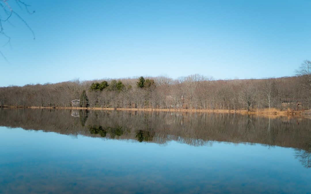 Powell’s Pool: Sutton Park’s Largest Lake and Complete Visitor Guide