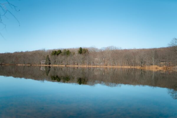 Powell’s Pool: Sutton Park’s Largest Lake and Complete Visitor Guide