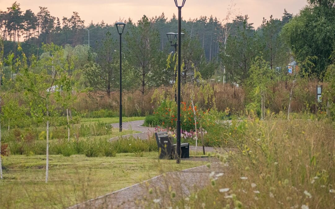 Sutton Park: The Complete Guide to Birmingham’s National Nature Reserve