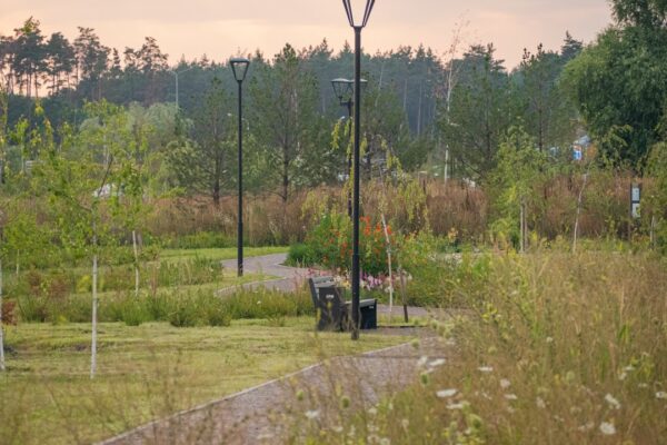 Sutton Park: The Complete Guide to Birmingham’s National Nature Reserve