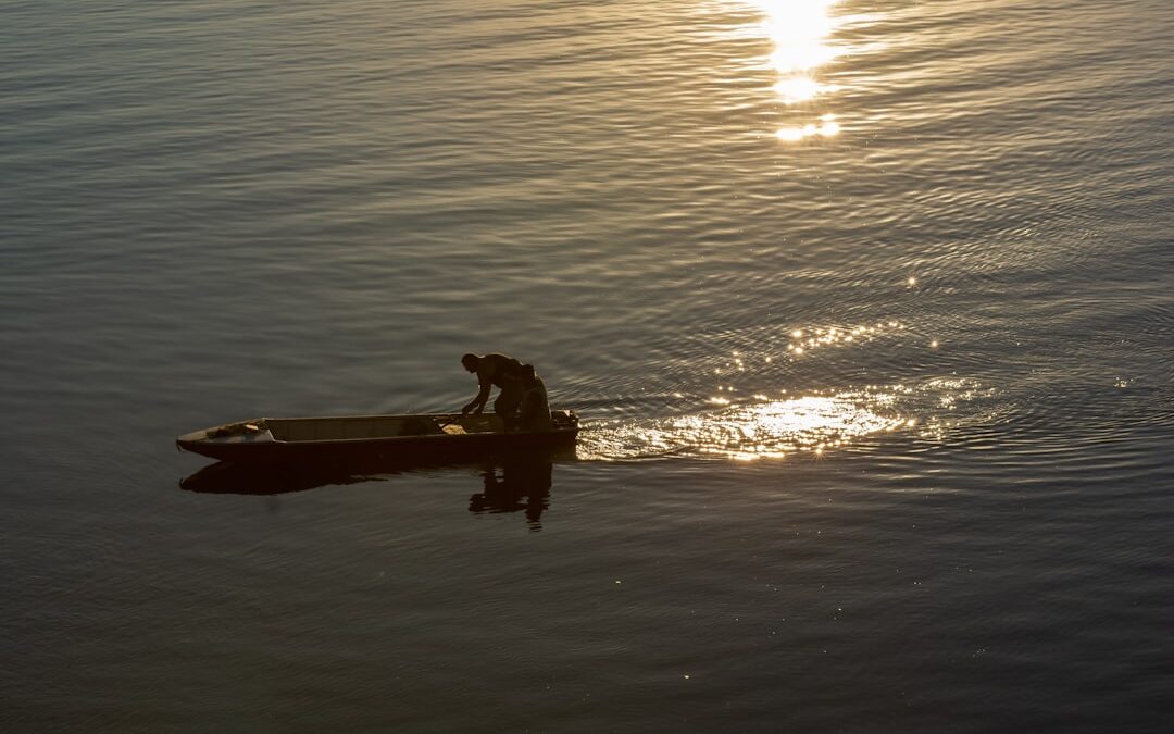 Keeper’s Pool, Sutton Park: Fishing, Wildlife and Visitor Guide